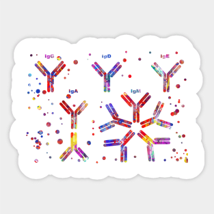 Antibody molecule Sticker